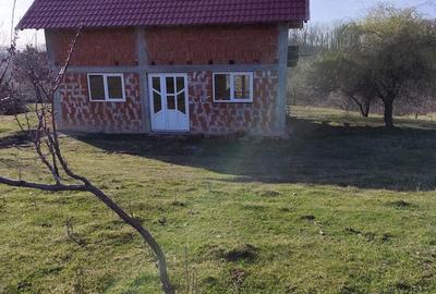 Casă cu Teren 2000 Mp în Loranta - 3