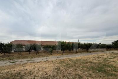 Ferma de Vanzare in judetul Timis, la nord est de Timisoara, - 21