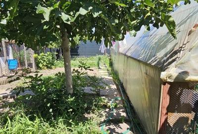 Csa la sol /Ovidiu / garaj - 6