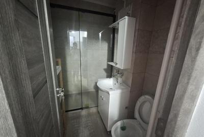 Garsoniera cu 1 camera balcon si pivnita zona Bulevardul Mihai Viteazul - 13