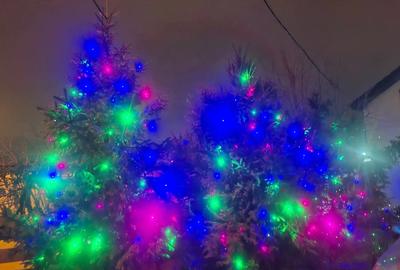 Casă în Brestei - 5