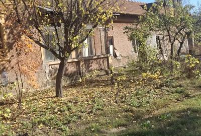 Vand casa in comuna Branceni - 4