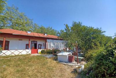 Casa Giurgiu- Ghimpati Sat Bila - 8