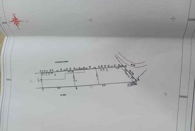 Teren 800mp intravilan in Valea Calugareasca - 2