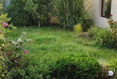 Casă cu Teren 400 Mp în Nord - 4