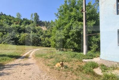 Spatiu Industrial 1050 mp hala, 7884 mp teren, zona Bartolomeu - 6