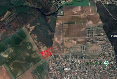 Teren Construcții intravilan de 40308 mp, în Central