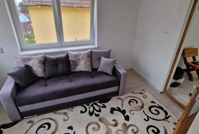 Casă cu 4 camere cu Teren 1619 Mp în Certeju de Sus - 1