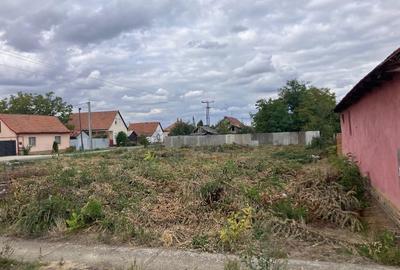 Spațiu comercial, în Peregu Mic - 2