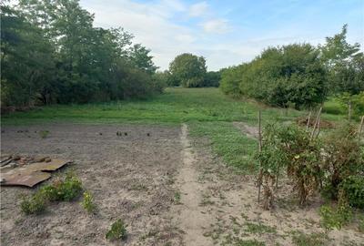 Casă cu 3 camere în Gaiu Mic - 3