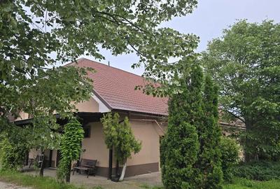 Teren de 38464 mp, în Beharca - 3