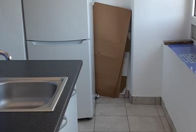 Stirbei Voda, garsoniera spatioasa, decomandata, bloc mixt, stradal, nemobilata - 10