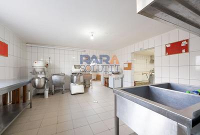 Spațiu industrial, de 380 mp, în Pildești - 16