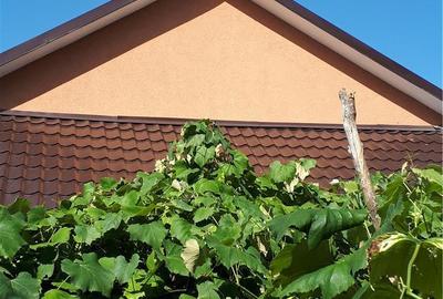 Casă cu 4 camere cu Teren 400 Mp în Roman - 2