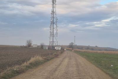 Teren de 3000 mp, în Bosanci - 7