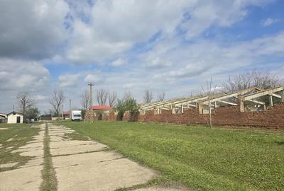 Izvoarele, jud. Giurgiu, ferma cu teren de 25 ha de vanzare - 2