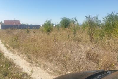 Teren Sanpetru intravilan acces din DJ - 3