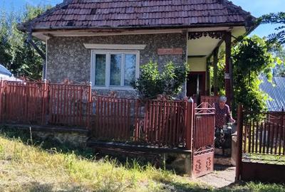 Teren de 5400 mp, în Sălătrucel - 6