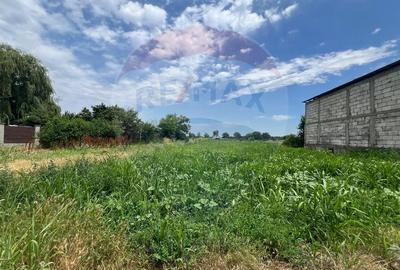 Teren Construcții intravilan de 1884 mp, în Mândrești-Munteni - 3