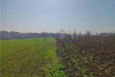 Teren de 83000 mp, în Vorovești - 4