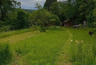 Casă cu 2 camere în Sibișel (Beriu) - 6