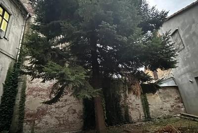 Spatiu pentru servicii medicale, cabinet stomatologie - 2