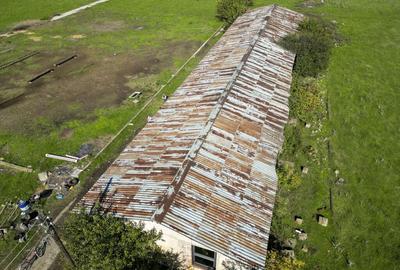 Hala de 430 mp ?i teren intravilan 2.5 ha Macea - 15