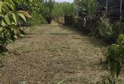 Casa caramida si Teren 1770mp Vanju Mare la DN56A - 4