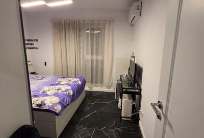 Apartament cu 2 camere decomandat, mobilat în Theodor Pallady - 6
