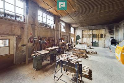 Fabrica de prelucrare a lemnului ?i palului - 10