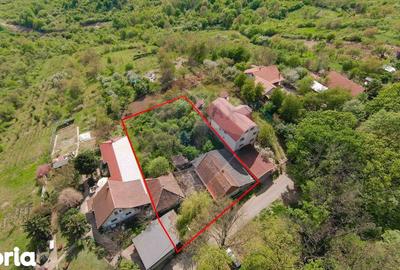 Casă cu 4 camere cu Teren 1425 Mp în Podgoria - 11