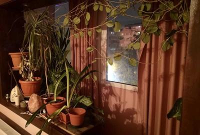 Apartament cu 2 camere decomandat, mobilat în Olteniței - 2