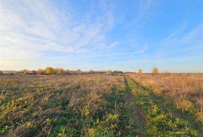 Teren agricol extravilan de 10000 mp, în 9 Mai - 4