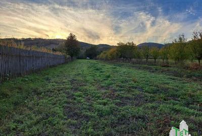 Teren de / Maneciu Pamanteni - 2