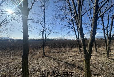 Teren agricol intravilan de 60000 mp, în Bartolomeu - 2
