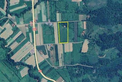 Teren agricol extravilan de 16000 mp, în Borlovenii Noi - 8