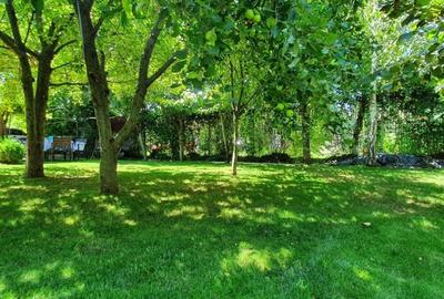 Casă individuală cu 5 camere cu Teren 500 Mp în Mogoșoaia - 5