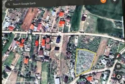 Teren de 3000 mp, în Snagov - 2