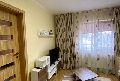 Apartament cu 2 camere semidecomandat în Șeica Mare - 4