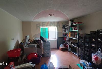 Casă cu 4 camere cu Teren 11769 Mp în Bulz - 9