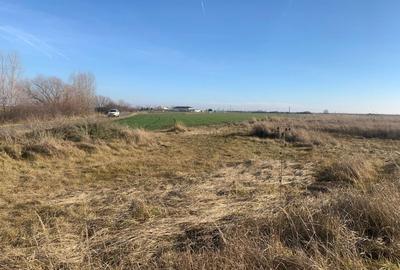 Teren Construcții intravilan de 600 mp, în Săcălaz - 5