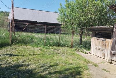 Casă cu 2 camere în Sânmihaiu Almașului - 2