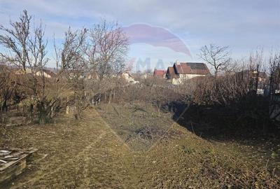 De vanzare casa solida cu teren generos si acces facil Lespezi Bacau - 20