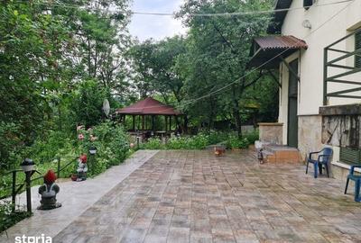 Casă cu 4 camere cu Teren 350 Mp în Provița de Jos - 4