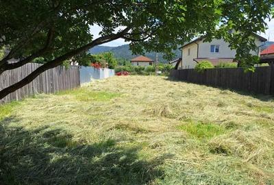 Teren Intravilan 723 mp Cristian - 2