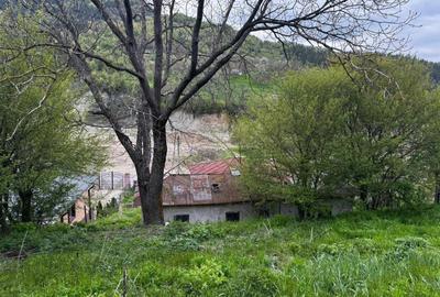 Spațiu comercial, în Andreiașu de Jos - 2