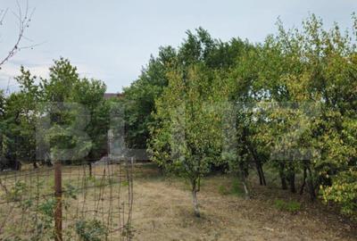 Teren extravilan 17524 mp, expunere sudica, Viforata - 15