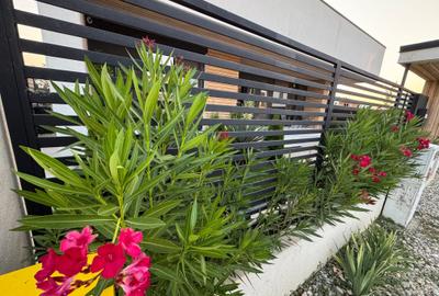 Altceva decât normal — Casă parter modernă | 150 mp utili | Stradă unică, Bercen - 13