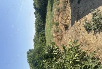 Casă cu 3 camere în Central