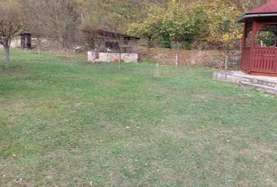 Casă cu 3 camere cu Teren 2000 Mp în Toplița - 5